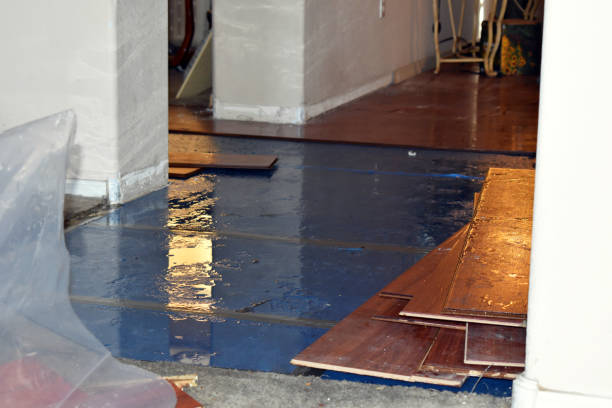 Professional Basement Flood Cleanup technician working in Addis, LA